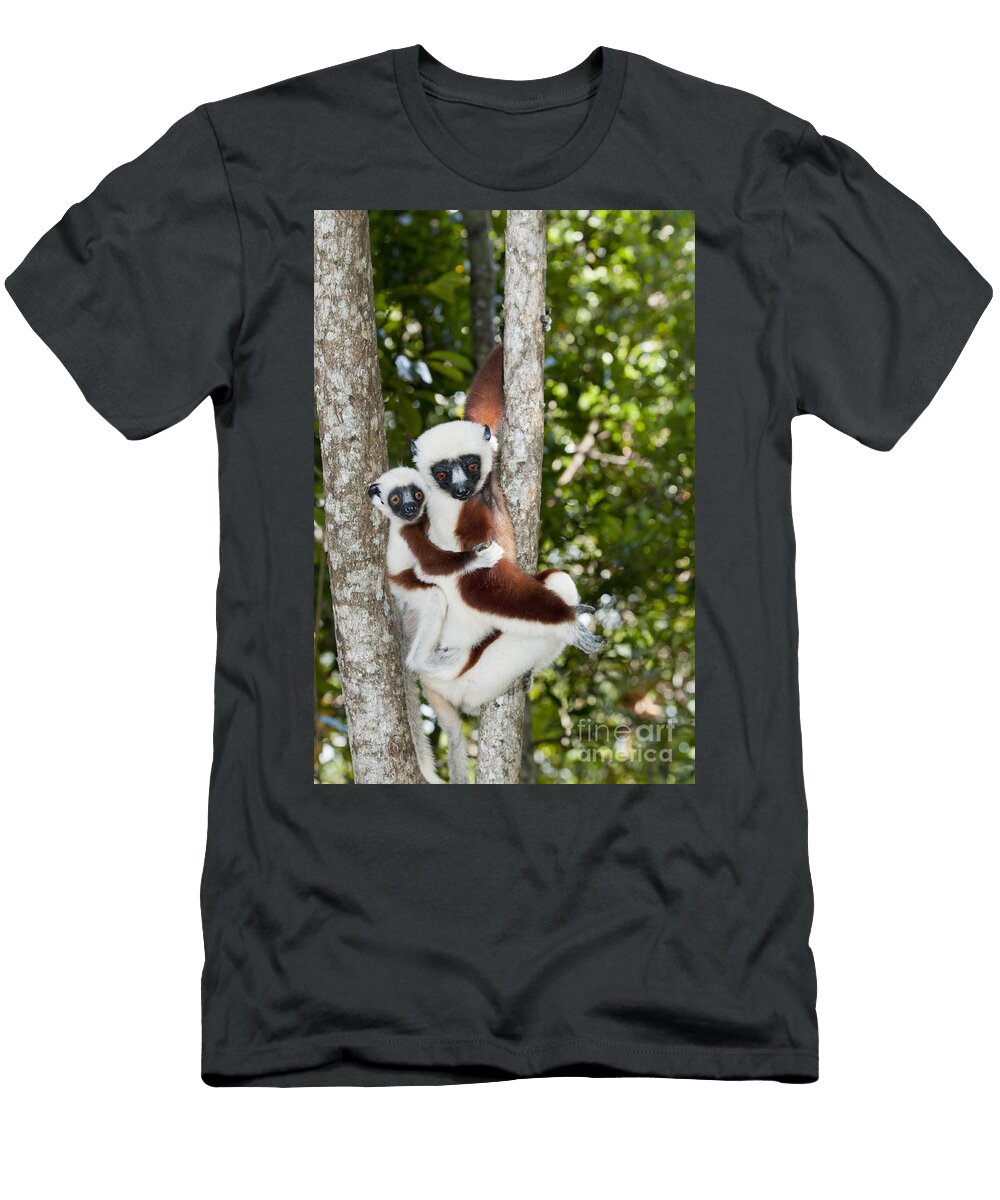 1 Coquerels Sifaka Tony Camacho T-Shirt