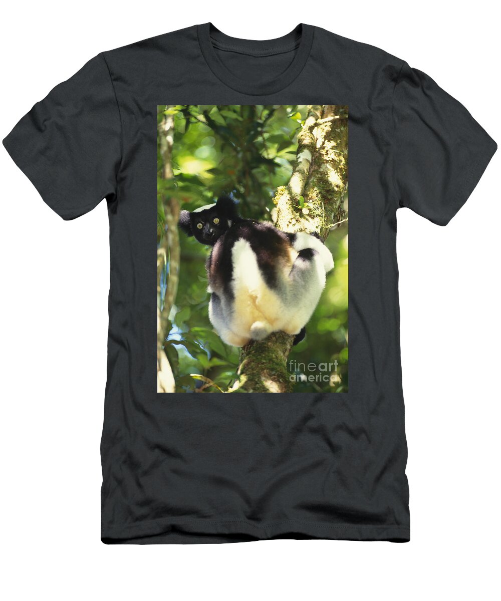 1 Indri Art Wolfe T-Shirt