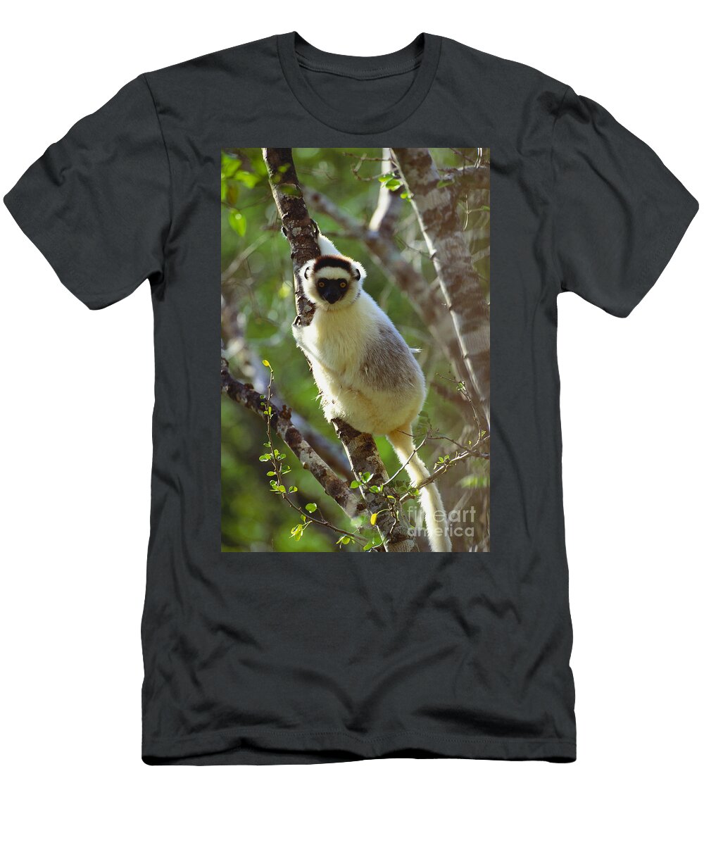 1 Verreauxs Sifaka Art Wolfe T-Shirt