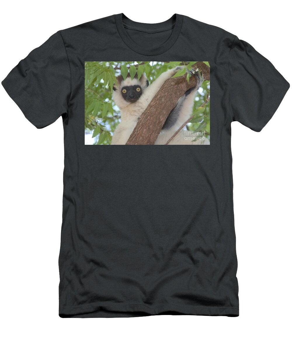 1 Verreauxs Sifaka Gregory G Dimijian T-Shirt