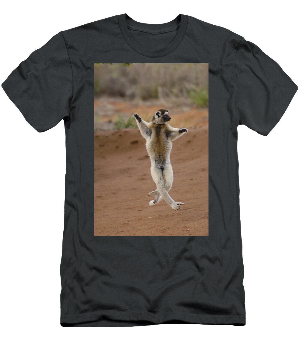 1 Verreauxs Sifaka Hopping Berenty Pete Oxford T-Shirt