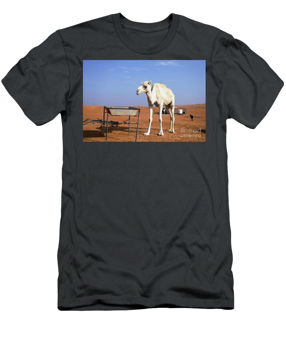 2 Camel in the Desert Tom Gowanlock T-Shirt