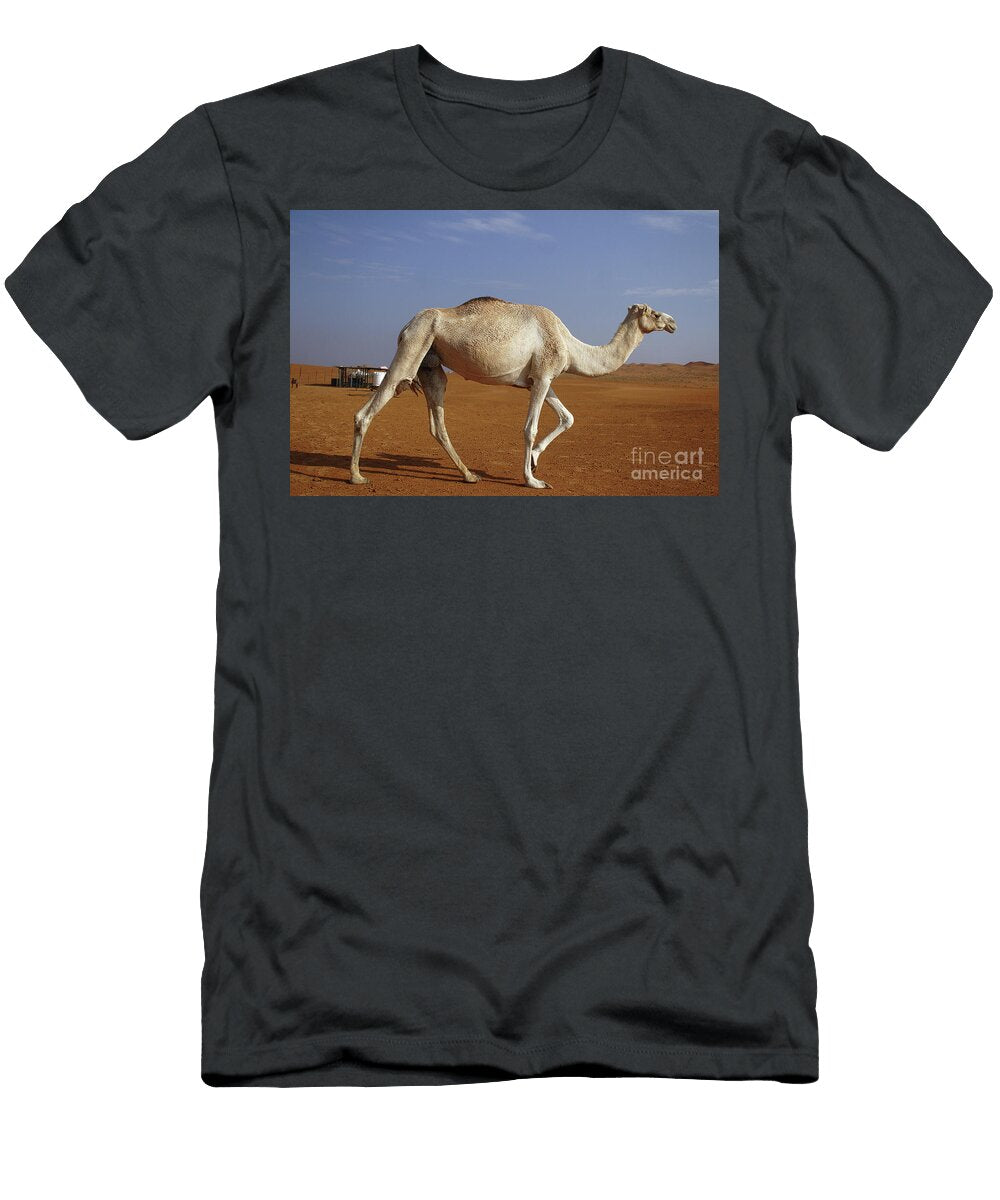 4 Camel in the Desert Tom Gowanlock T-Shirt