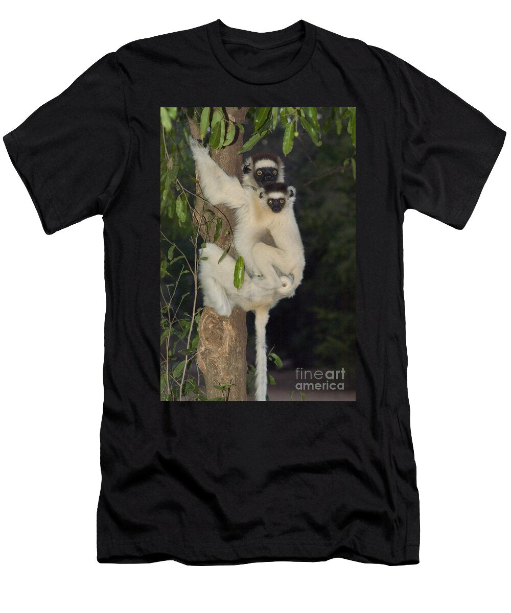 5 Verreauxs Sifaka Gregory G Dimijian T-Shirt