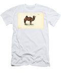 Bactrian Camel 1850 Lithography J W Tenhaeff T-Shirt