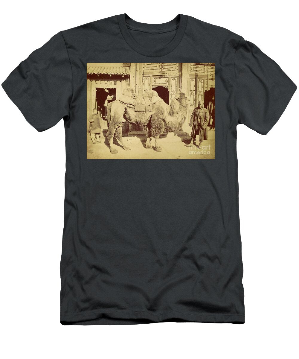 Bactrian Camel with Handler1860 Felice Beato T-Shirt