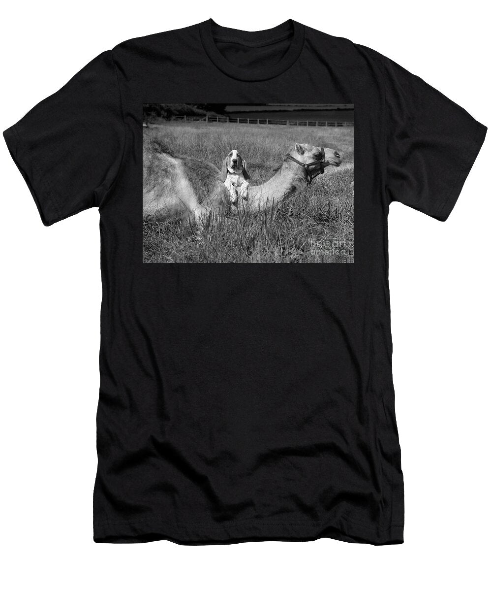 Beagle with Camel England Great Britain 1976 Photo Unknown T-Shirt