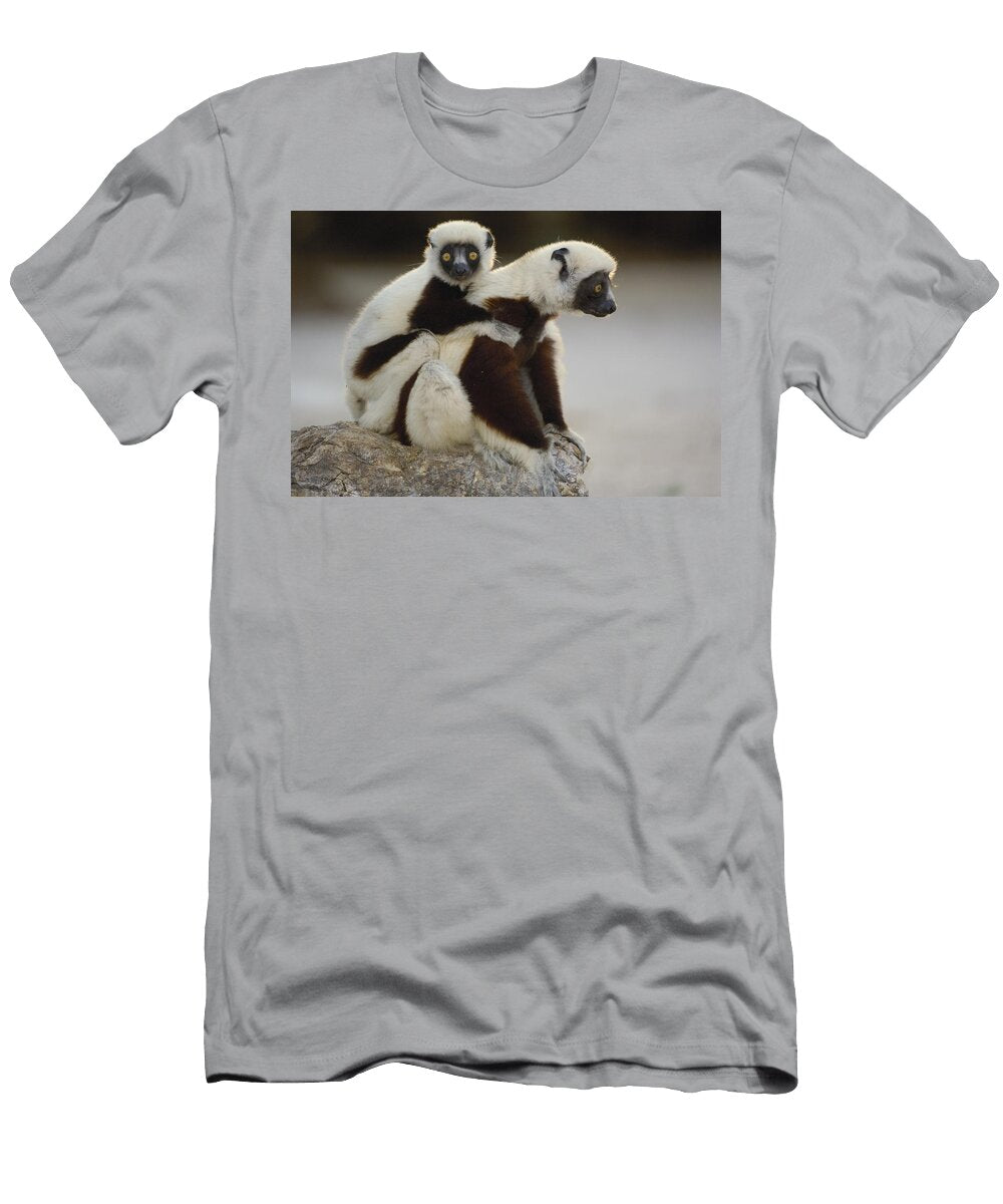 Coquerels Sifaka and Baby Madagascar Pete Oxford T-Shirt