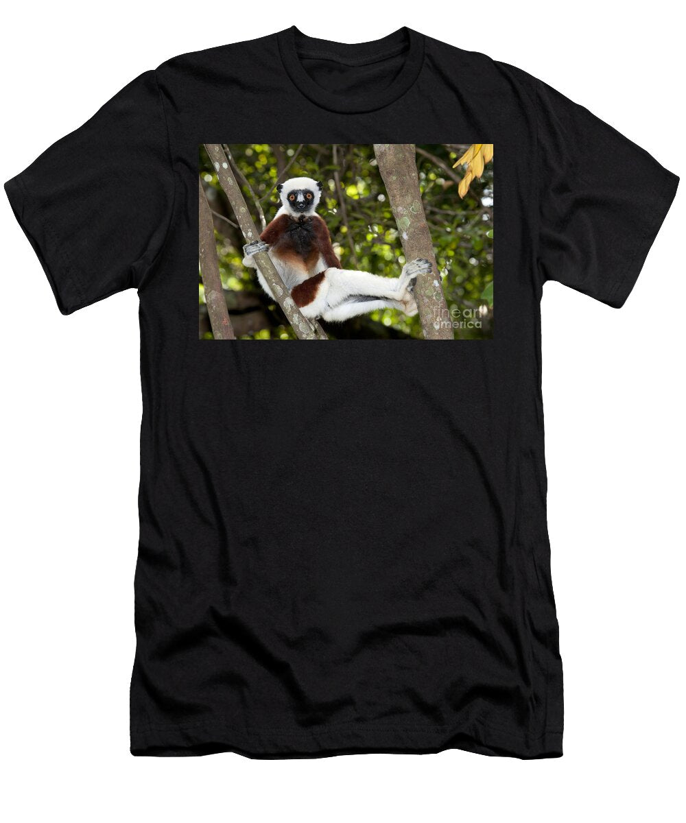 Coquerels Sifaka Tony Camacho T-Shirt
