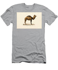 Dromedary Camel Brown Variety 1824 Hand Coloured Litho Jacques Christophe Werner T-Shirt