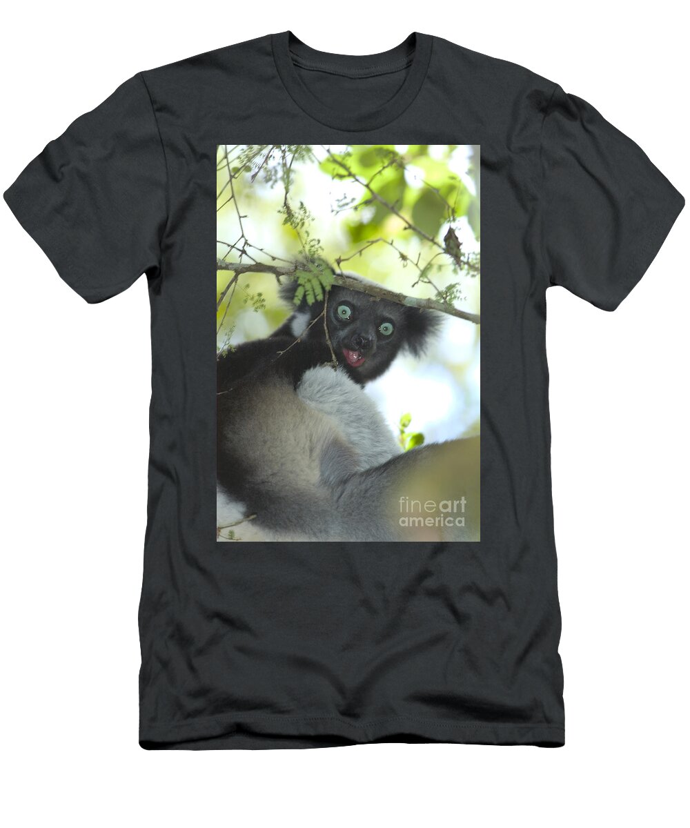 Indri Gregory G Dimijian T-Shirt