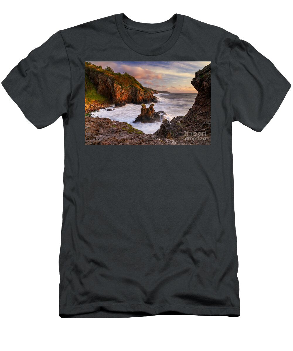 Lions and Camels Nando Lardi T-Shirt