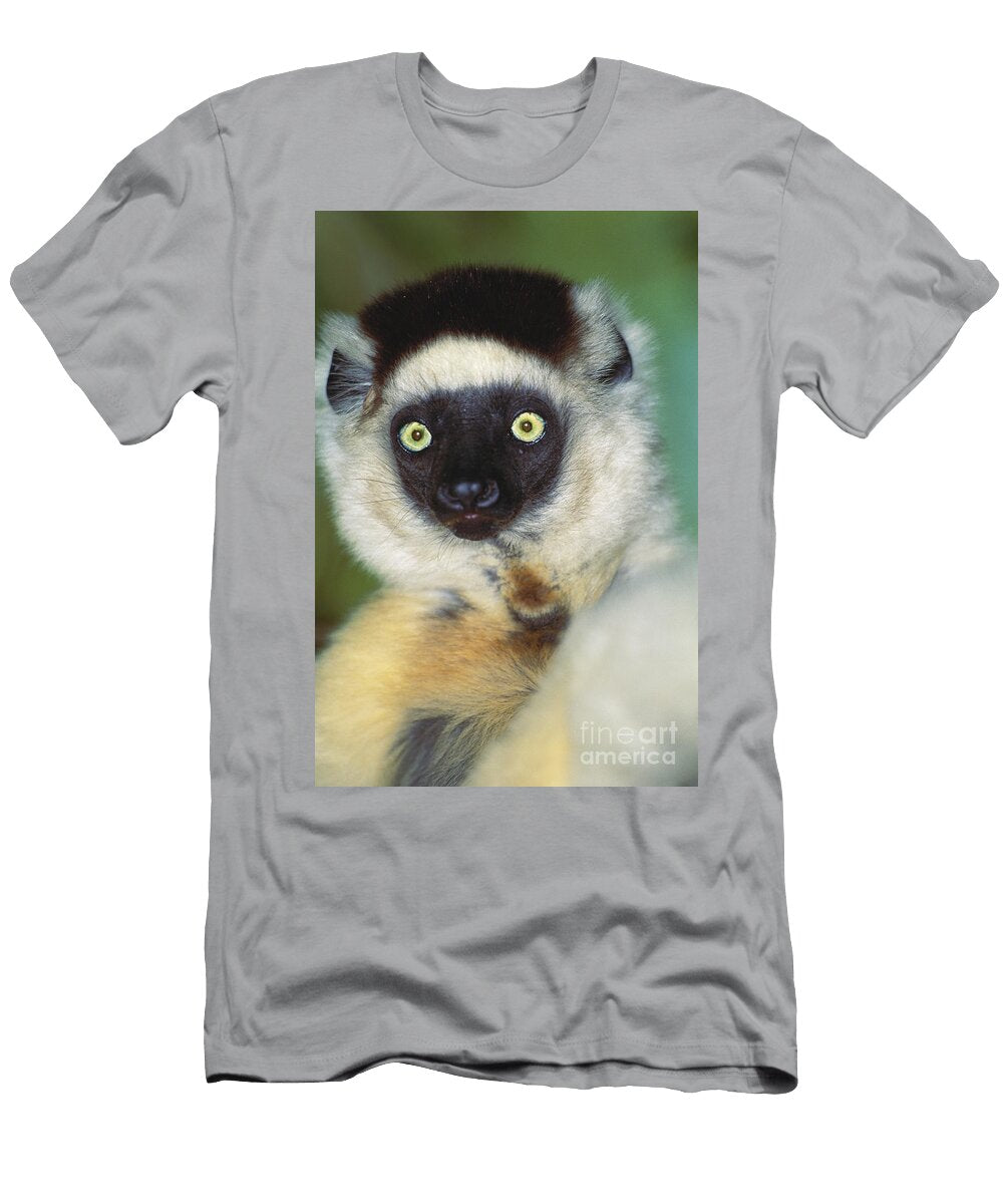 Verreauxs Sifaka Art Wolfe T-Shirt