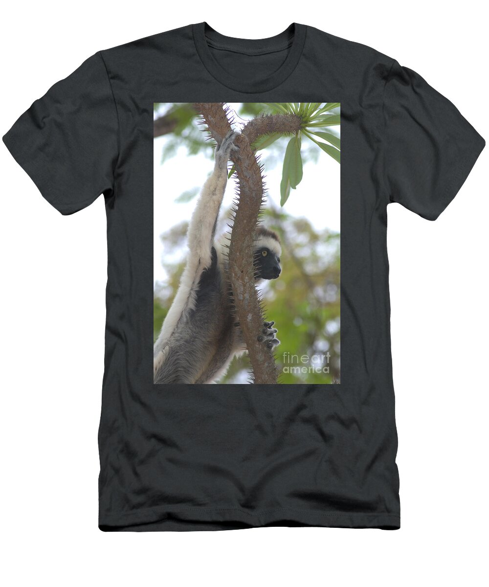 Verreauxs Sifaka Gregory G Dimijian T-Shirt